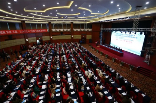 湖南第四届人类辅助生殖技术与妇产科疾病诊疗技术高峰论坛举行