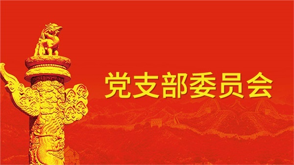关于调整党支部委员会的通知