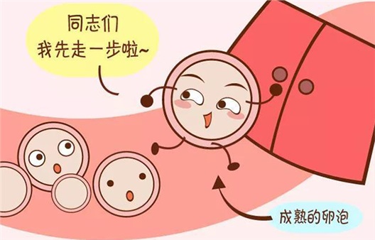 促排卵治疗会导致卵泡消耗，卵巢早衰吗？真相来了！