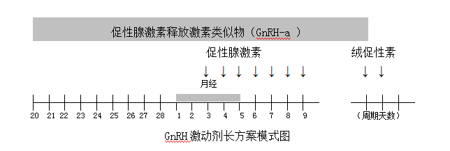 ART方案种类及说明